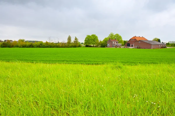 Village — Stock Photo, Image