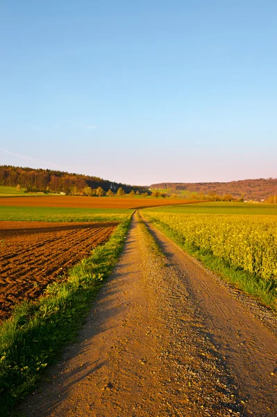 Schweizer Felder — Stockfoto