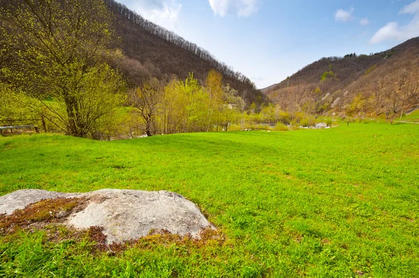 Piedra grande — Foto de Stock