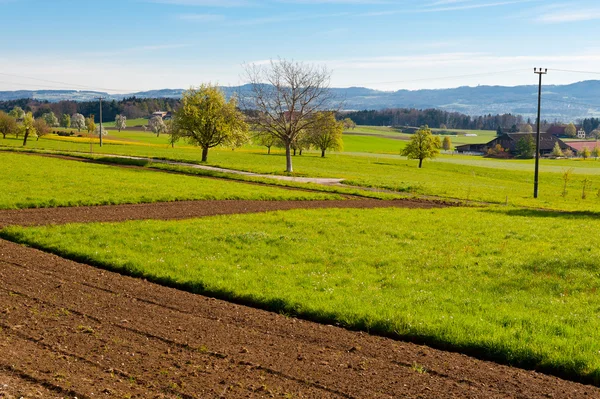 Zwitserse boerderij — Stockfoto