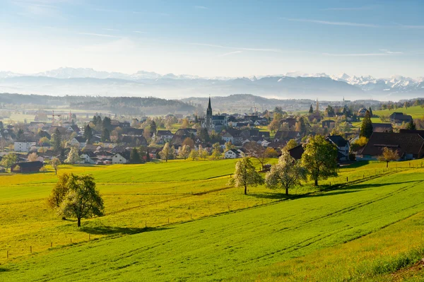 Mistige ochtend — Stockfoto