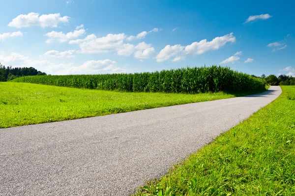 Asphaltweg — Stockfoto