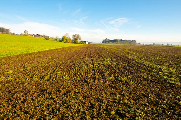 Schweizer Dorf — Stockfoto