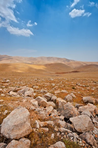 Каменная пустыня — стоковое фото