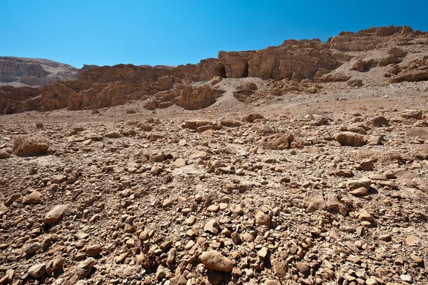 Palestine — Stock Photo, Image