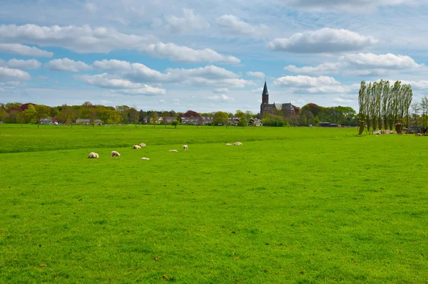 Utkanten — Stockfoto