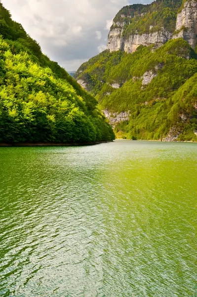 Rio Cesino — Fotografia de Stock