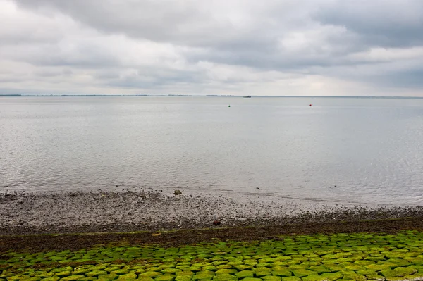 Nordsee — Stockfoto