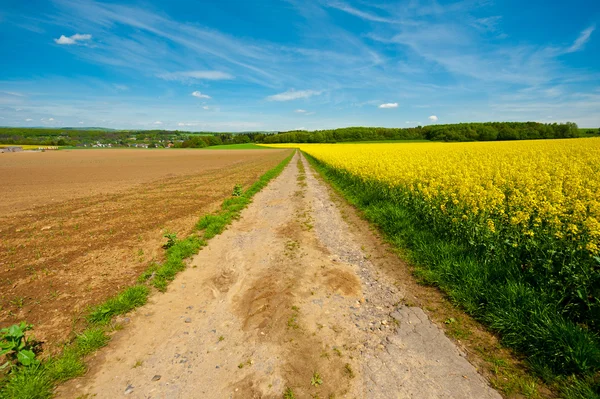 Fields — Stock Photo, Image