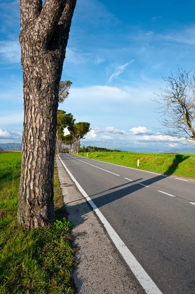 Weg in Umbrië — Stockfoto