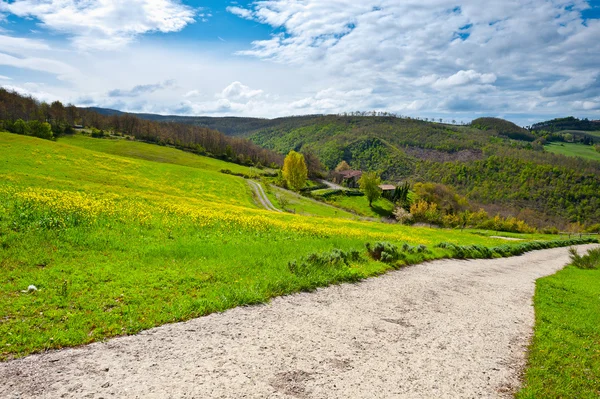 Zona rural. — Foto de Stock