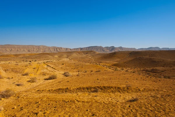 Пустелі — стокове фото