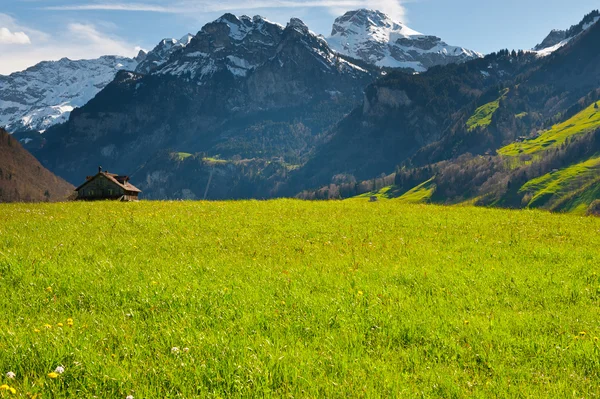 Manhã em alpes — Fotografia de Stock