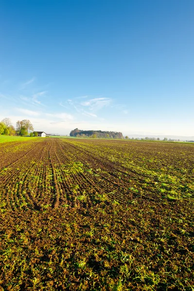 Plöjde fälten — Stockfoto