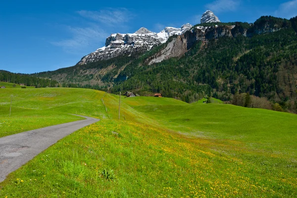 Alpi svizzere — Foto Stock