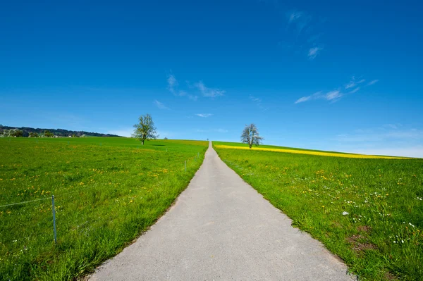 Wiesen — Stockfoto