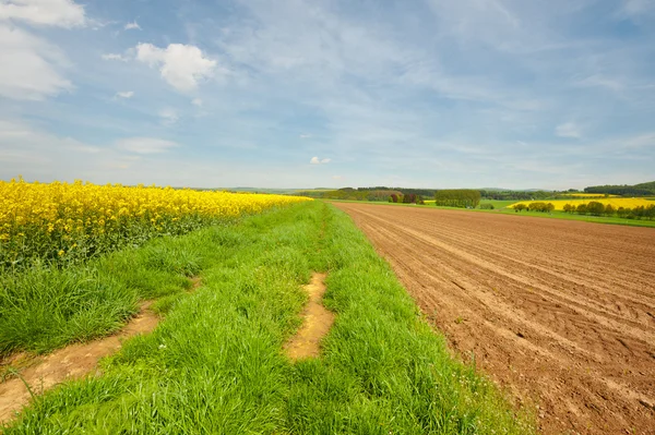 Landbouw — Stockfoto