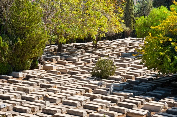 Cimetière juif — Photo