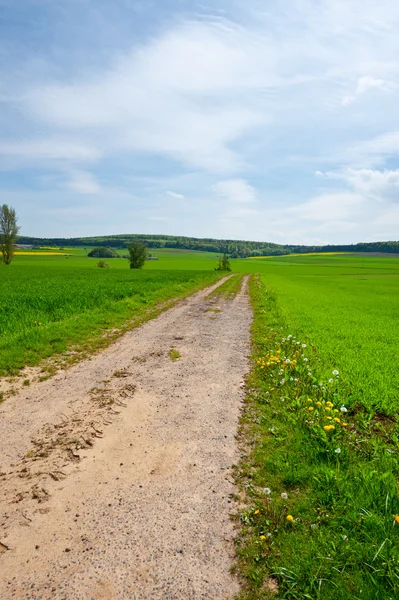 Feldweg — Stockfoto