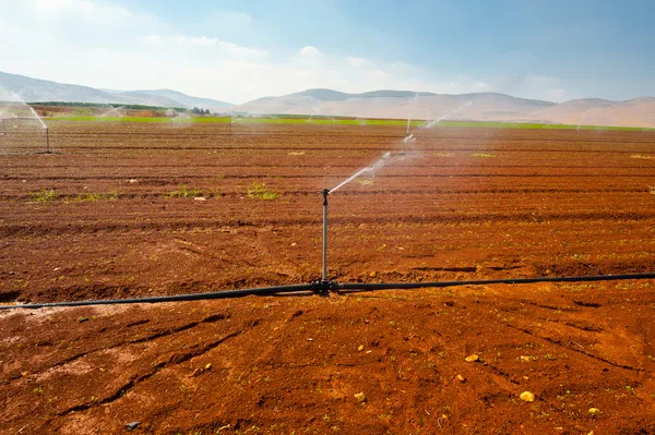 Terra Santa — Foto Stock