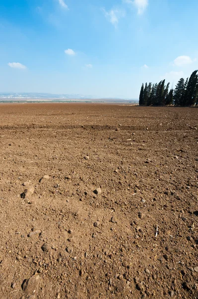 在以色列的土壤 — 图库照片