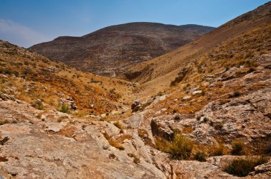 arazi