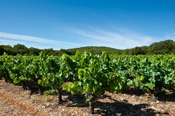 Francia meridionale — Foto Stock