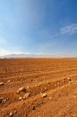 Taşlı Toprak