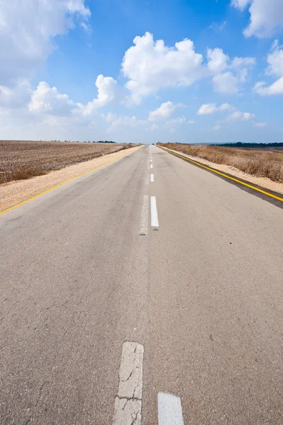 Road in Israel — Stock Photo, Image