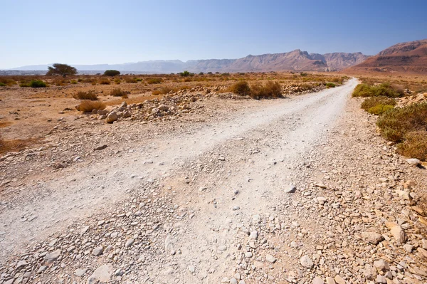 Weg in de woestijn — Stockfoto