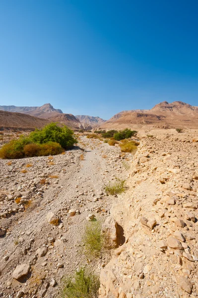 Midden-Oosten — Stockfoto