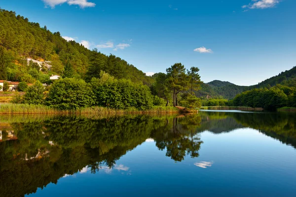 Orilla del lago — Foto de Stock