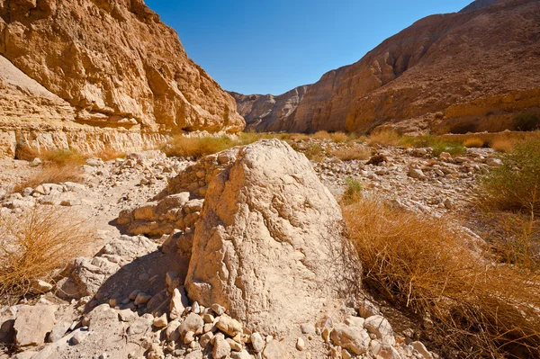 Holy Land — Stock Photo, Image