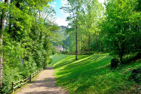 Green Park — Stock Photo, Image