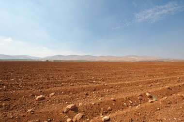 Taşlı Toprak