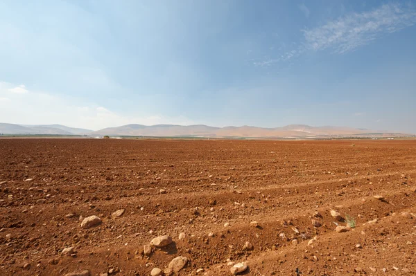 Stony Soil — Stock Photo, Image