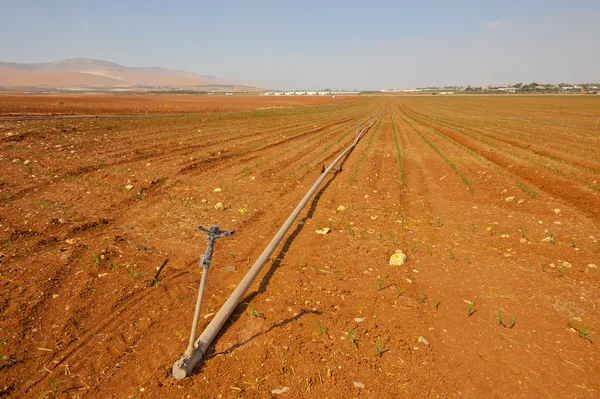 Fıskiye — Stok fotoğraf