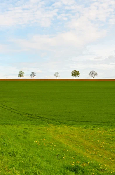 Belgie — Stock fotografie