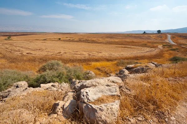 Big Stone — Stock Photo, Image