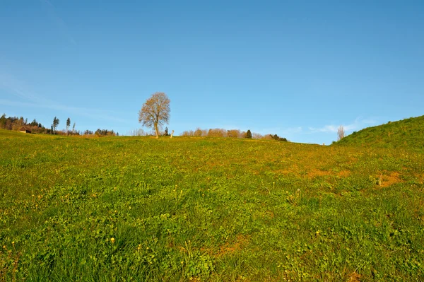 Terreni agricoli — Foto Stock