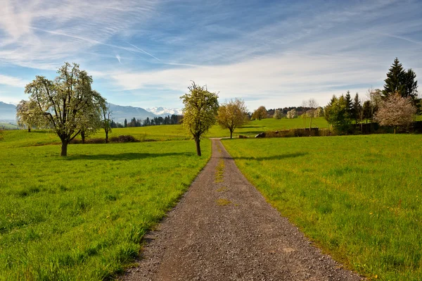 Camino del país — Foto de Stock