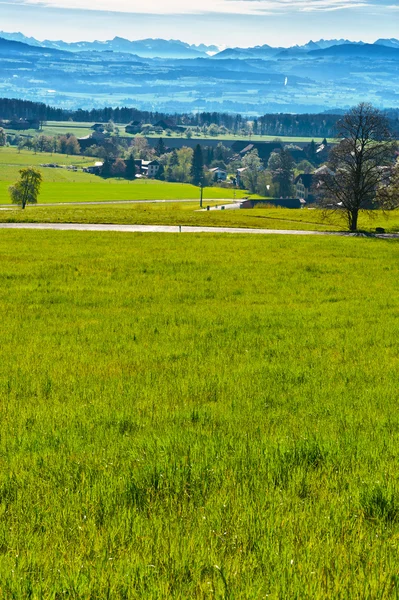 Morgennebel — Stockfoto