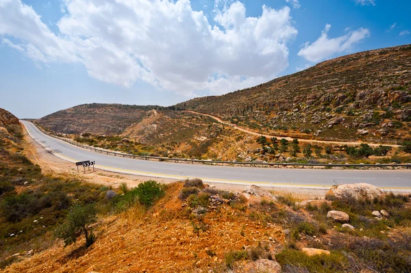 Camino serpenteante — Foto de Stock