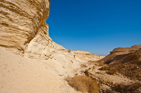 Dry Riverbed — Stock Photo, Image