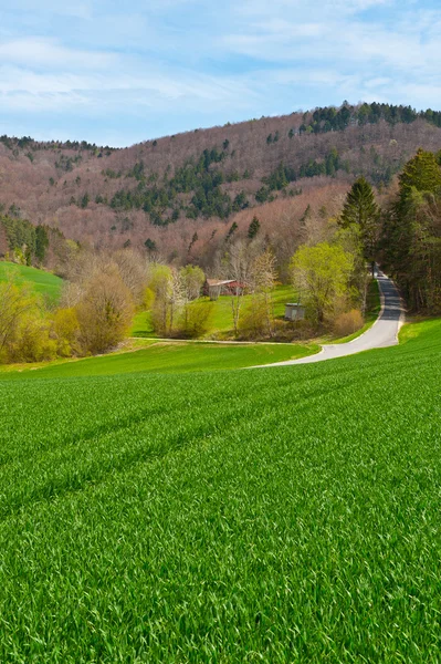 Zwitserse Alpen — Stockfoto