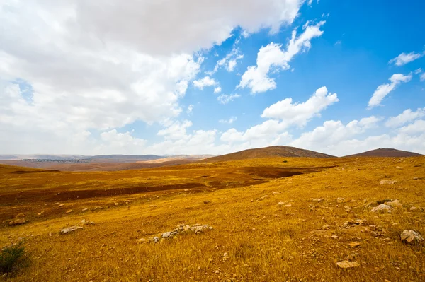 Paisaje — Foto de Stock