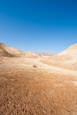 arazi