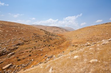 Dağlık