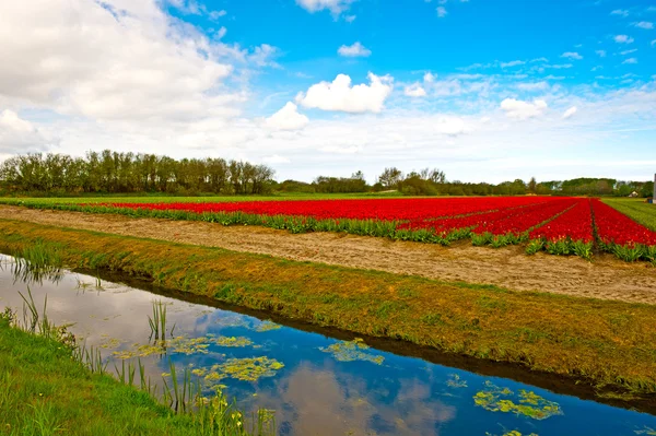 Büyük Kanal — Stok fotoğraf