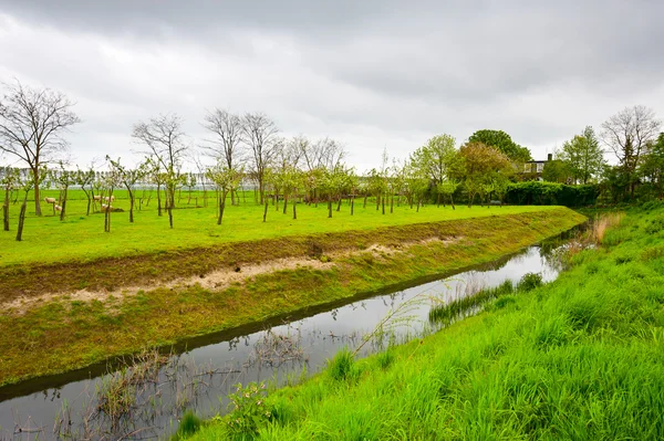 Wiedergewonnenes Land — Stockfoto